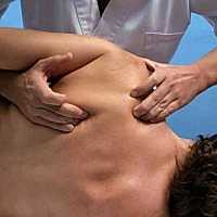 Сегментарно - рефлекторный